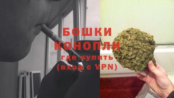 гидра Баксан
