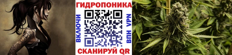 Канабис план цена Нея